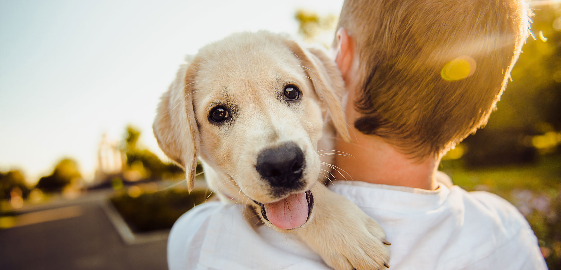 Enrolments open for Puppy School